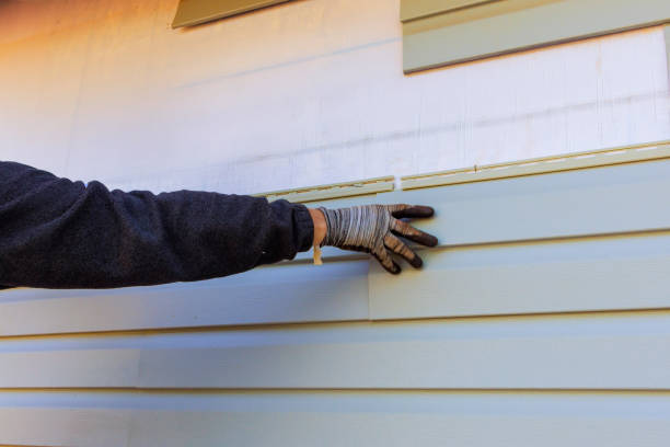 Siding for Commercial Buildings in Linden, CA